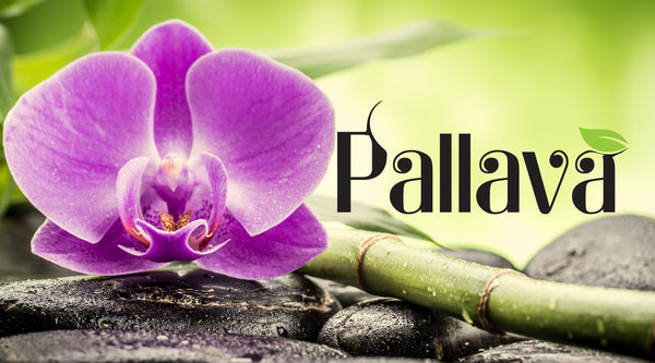 Behind The Brand: Pallava Organics